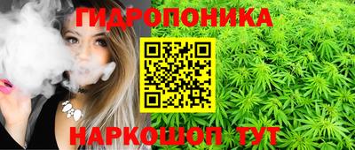 бошки Краснодар