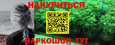 бошки Краснодар