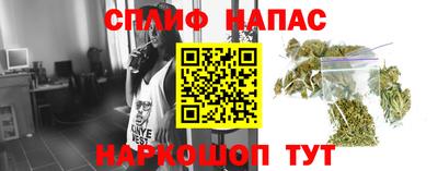 бошки Краснодар
