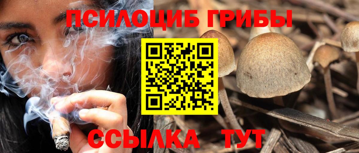 Псилоцибиновые грибы Magic Shrooms  Вход с VPN  Тамбов  Галлюциногенные грибы прущие грибы 